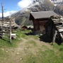 arolla 100.JPG
