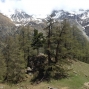 arolla (11).jpg