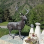 arolla (14).jpg