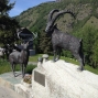 arolla (15).jpg