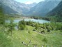 Derborence 2011