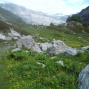 derborence 2011 (4)