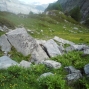 derborence 2011 (5)
