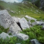 derborence 2011 (6)