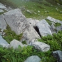 derborence 2011 (7)