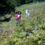 cueillete-6