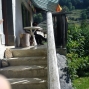 dranse-home-3