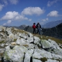st-bernard-12