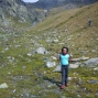 st-bernard-3