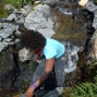 st-bernard-4