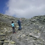 st-bernard-6