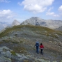 st-bernard-8