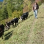 24-dranse-57
