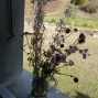10-27-28-dranse-19