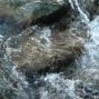 10-27-28-dranse-38