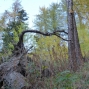 10-27-28-dranse-57