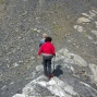 st-bernard-7