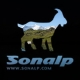 logo_sonalp2
