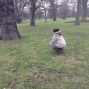 london15 (512).jpg