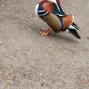 london15 (594).jpg