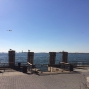 NY-19oct (20)