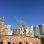 NY-19oct (21)