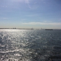 NY-20oct (10)