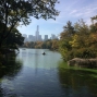 NY-22oct (1)