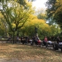NY-22oct (16)