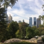 NY-22oct (19)
