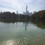 NY-22oct (5)
