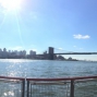 NY15