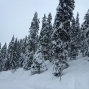 1501verbier (5)