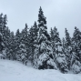 1501verbier (6)