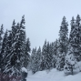 1501verbier (7)