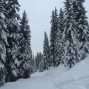 1501verbier (8)
