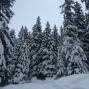 1501verbier (9)