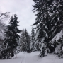 2401vallon de van) (17)