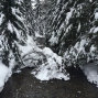 2401vallon de van) (23)