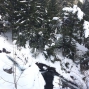 2401vallon de van) (9)