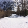 2701Arolla (23)